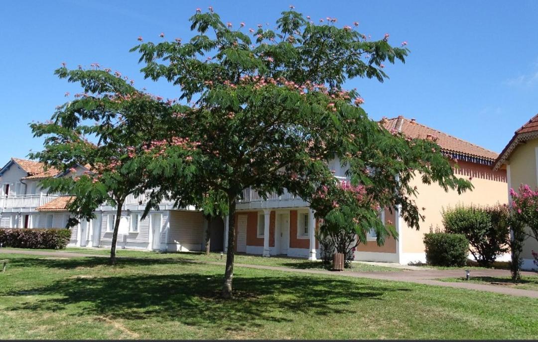 Appartement Au Calme Face Au Lac Marciac Ngoại thất bức ảnh
